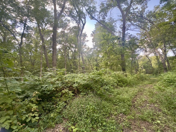 14094 Three Mile Road Lot A, THOMSON, Illinois 61285, ,Land,For Sale,Three Mile Road Lot A,202600395