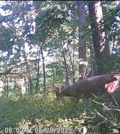 14094 Three Mile Road Lot A, THOMSON, Illinois 61285, ,Land,For Sale,Three Mile Road Lot A,202600395