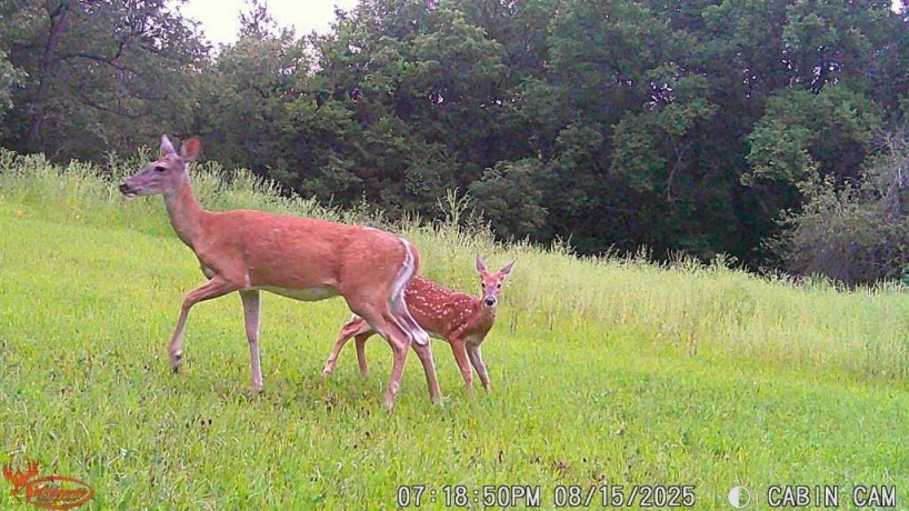 14094 Three Mile Road Lot A, THOMSON, Illinois 61285, ,Land,For Sale,Three Mile Road Lot A,202600395