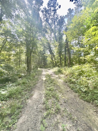 14094 Three Mile Road Lot A, THOMSON, Illinois 61285, ,Land,For Sale,Three Mile Road Lot A,202600395