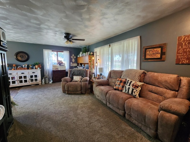 205 IL Rte 64, LANARK, Illinois 61046, 3 Bedrooms Bedrooms, ,2 BathroomsBathrooms,House,For Sale,IL Rte 64,202506486