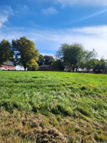 205 IL Rte 64, LANARK, Illinois 61046, 3 Bedrooms Bedrooms, ,2 BathroomsBathrooms,House,For Sale,IL Rte 64,202506486