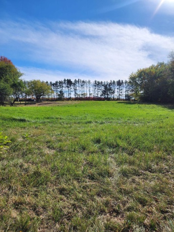 205 IL Rte 64, LANARK, Illinois 61046, 3 Bedrooms Bedrooms, ,2 BathroomsBathrooms,House,For Sale,IL Rte 64,202506486