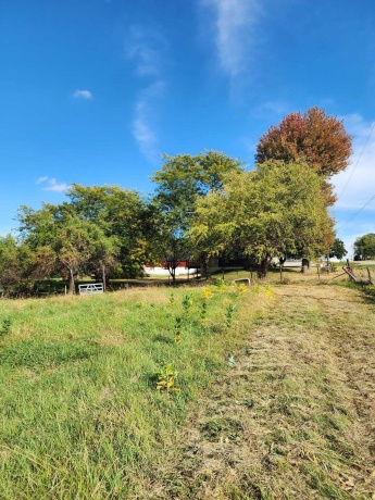 205 IL Rte 64, LANARK, Illinois 61046, 3 Bedrooms Bedrooms, ,2 BathroomsBathrooms,House,For Sale,IL Rte 64,202506486