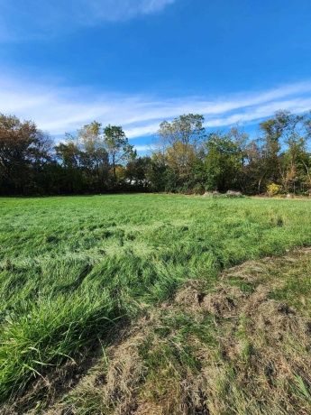 205 IL Rte 64, LANARK, Illinois 61046, 3 Bedrooms Bedrooms, ,2 BathroomsBathrooms,House,For Sale,IL Rte 64,202506486