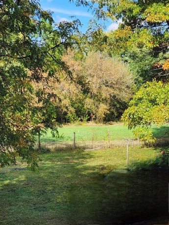 205 IL Rte 64, LANARK, Illinois 61046, 3 Bedrooms Bedrooms, ,2 BathroomsBathrooms,House,For Sale,IL Rte 64,202506486