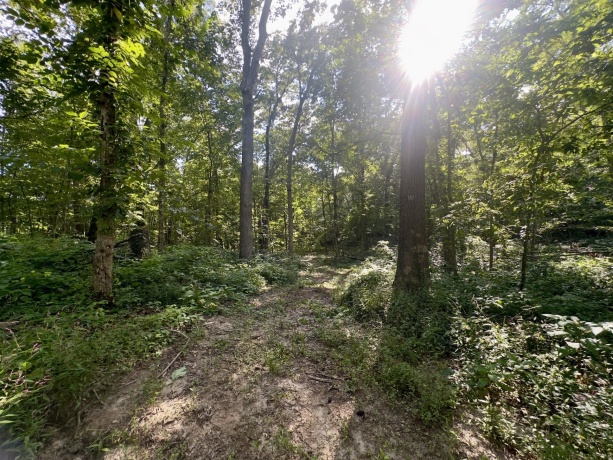 14094 Three Mile Road lot B, THOMSON, Illinois 61285, ,Land,For Sale,Three Mile Road lot B,202600396