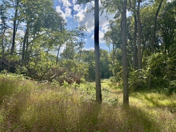 14094 Three Mile Road lot B, THOMSON, Illinois 61285, ,Land,For Sale,Three Mile Road lot B,202600396