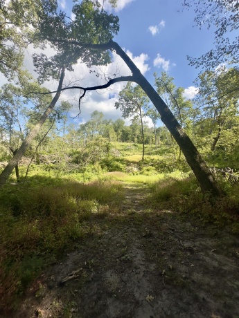 14094 Three Mile Road lot B, THOMSON, Illinois 61285, ,Land,For Sale,Three Mile Road lot B,202600396