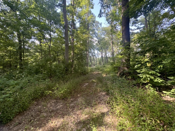 14094 Three Mile Road lot B, THOMSON, Illinois 61285, ,Land,For Sale,Three Mile Road lot B,202600396