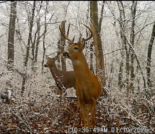 14094 Three Mile Road lot B, THOMSON, Illinois 61285, ,Land,For Sale,Three Mile Road lot B,202600396