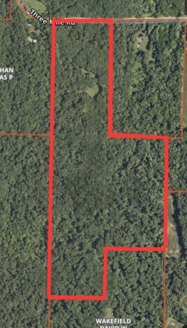 14094 Three Mile Road lot B, THOMSON, Illinois 61285, ,Land,For Sale,Three Mile Road lot B,202600396