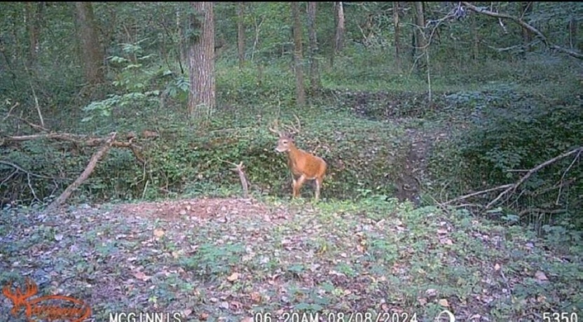 14094 Three Mile Road lot B, THOMSON, Illinois 61285, ,Land,For Sale,Three Mile Road lot B,202600396