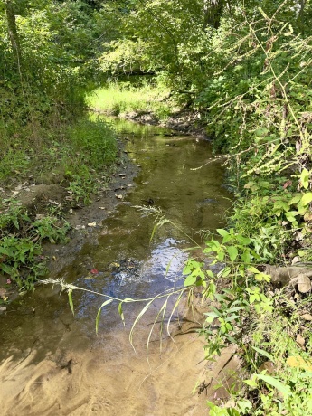 14094 Three Mile Road lot B, THOMSON, Illinois 61285, ,Land,For Sale,Three Mile Road lot B,202600396