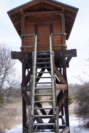 4247 Centerville, ROCKFORD, Illinois 61102, ,Land,For Sale,Centerville,202600397