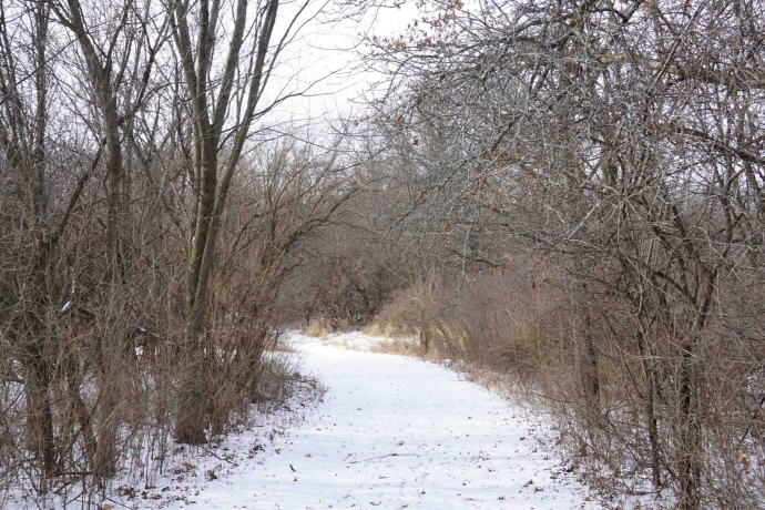 4247 Centerville, ROCKFORD, Illinois 61102, ,Land,For Sale,Centerville,202600397