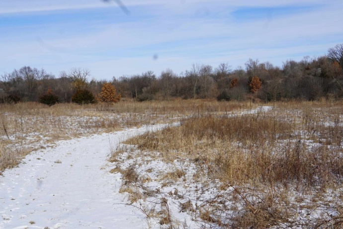 4247 Centerville Road, ROCKFORD, Illinois 61102, ,Land,For Sale,Centerville Road,202600397