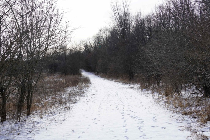 4247 Centerville Road, ROCKFORD, Illinois 61102, ,Land,For Sale,Centerville Road,202600397