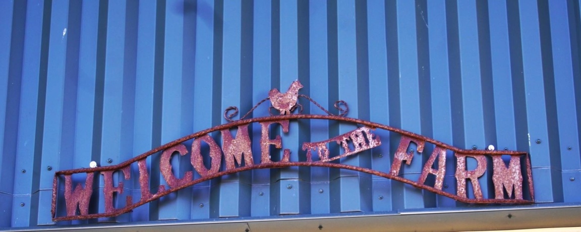 4247 Centerville Road, ROCKFORD, Illinois 61102, ,Land,For Sale,Centerville Road,202600397