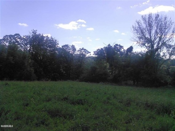 Woodbine, Illinois, ,Hunting,For Sale,20210163