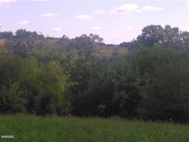 Woodbine, Illinois, ,Hunting,For Sale,20210163