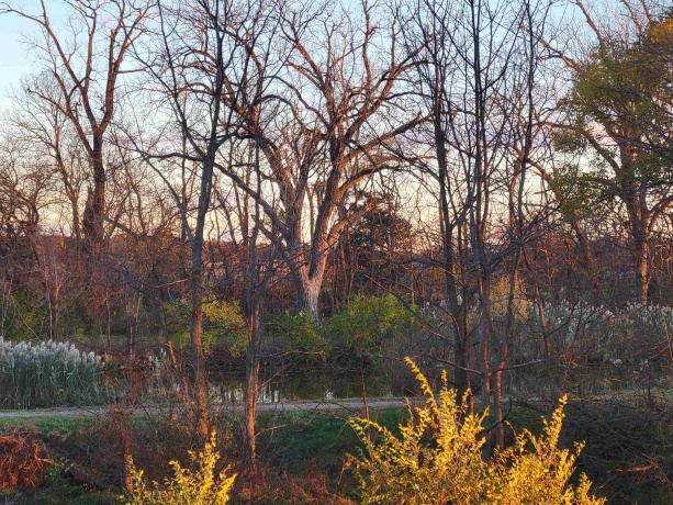 21882 410 East, SHEFFIELD, Illinois 61361, 2 Bedrooms Bedrooms, ,2 BathroomsBathrooms,House,For Sale,410 East,202507489