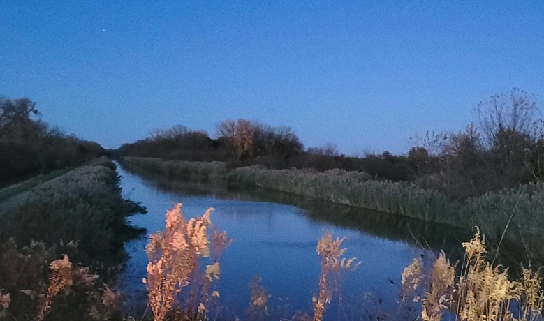 21882 410 East, SHEFFIELD, Illinois 61361, 2 Bedrooms Bedrooms, ,2 BathroomsBathrooms,House,For Sale,410 East,202507489