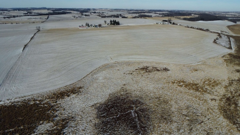 197.69 Acres Flansburg, MCCONNELL, Illinois 61050, ,Land,For Sale,Flansburg,202600428