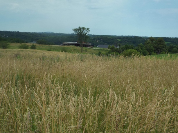 9146 US Hwy 20 W, GALENA, Illinois 61036, ,Land,For Sale,US Hwy 20 W,202600445