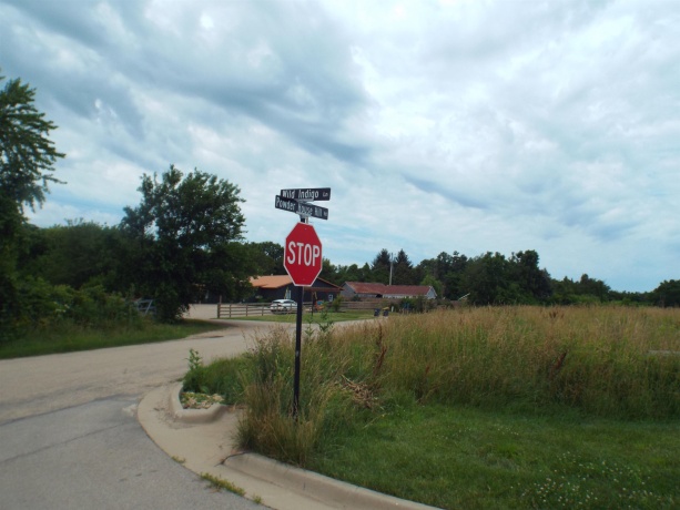 9146 US Hwy 20 W, GALENA, Illinois 61036, ,Land,For Sale,US Hwy 20 W,202600445
