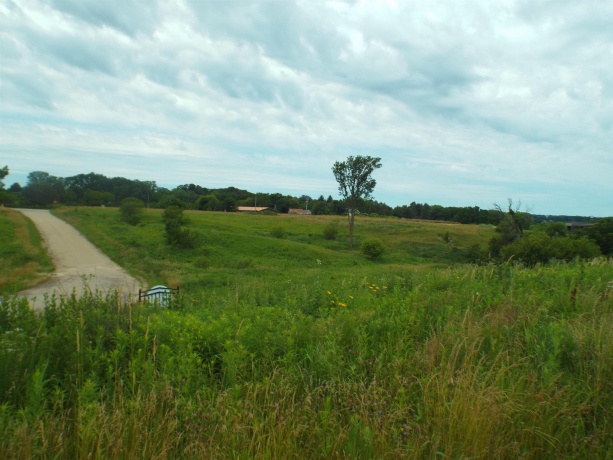 9146 US Hwy 20 W, GALENA, Illinois 61036, ,Land,For Sale,US Hwy 20 W,202600445