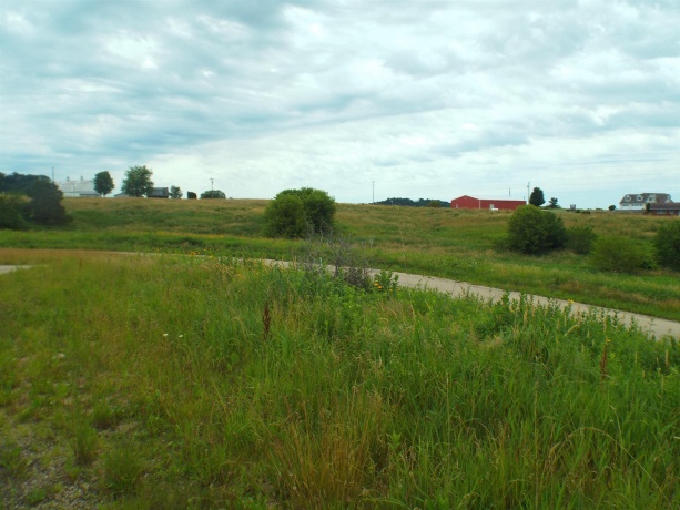 9146 US Hwy 20 W, GALENA, Illinois 61036, ,Land,For Sale,US Hwy 20 W,202600445