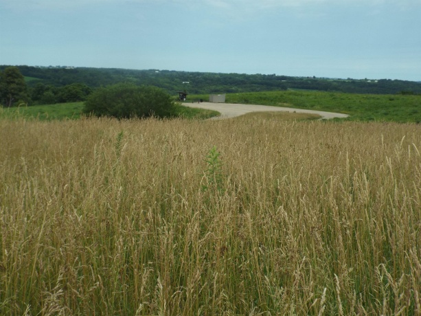 9146 US Hwy 20 W, GALENA, Illinois 61036, ,Land,For Sale,US Hwy 20 W,202600445