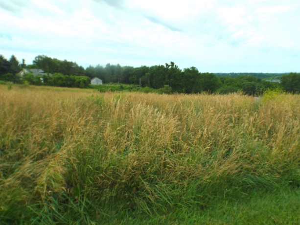 9146 US Hwy 20 W, GALENA, Illinois 61036, ,Land,For Sale,US Hwy 20 W,202600445