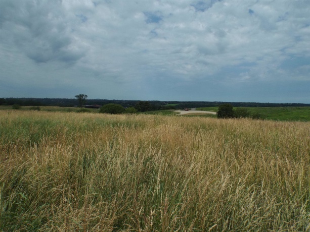 9146 US Hwy 20 W, GALENA, Illinois 61036, ,Land,For Sale,US Hwy 20 W,202600445