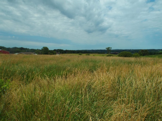 9146 US Hwy 20 W, GALENA, Illinois 61036, ,Land,For Sale,US Hwy 20 W,202600445