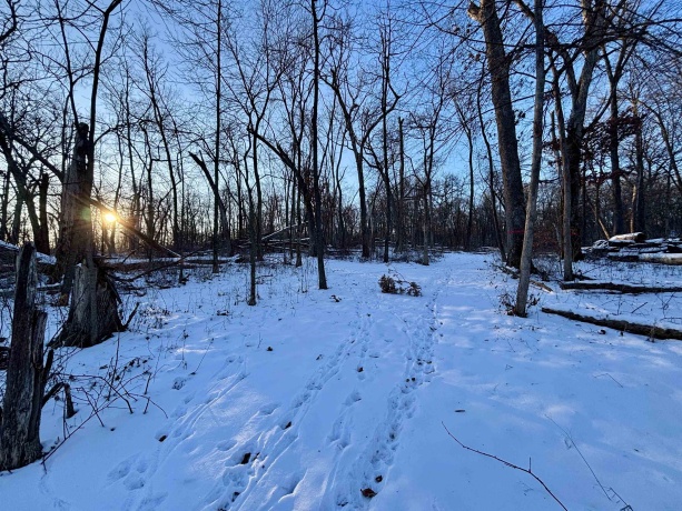 9.85 Acres Airport, STOCKTON, Illinois 61085, ,Land,For Sale,Airport,202600447