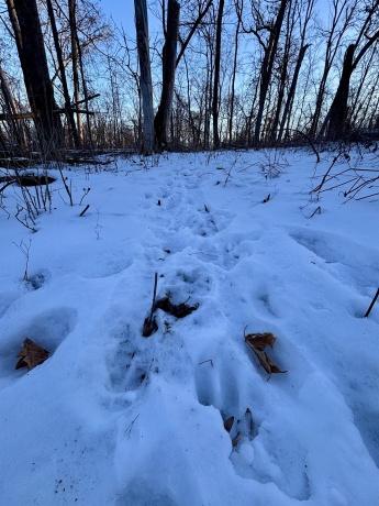 9.85 Acres Airport, STOCKTON, Illinois 61085, ,Land,For Sale,Airport,202600447