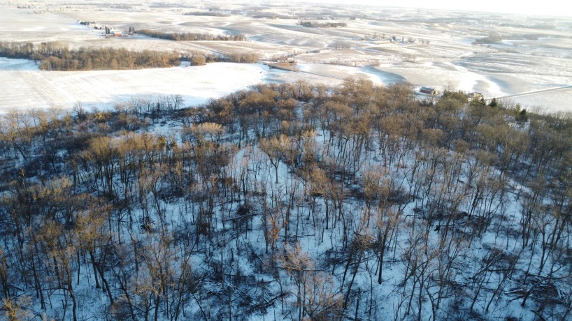 9.85 Acres Airport, STOCKTON, Illinois 61085, ,Land,For Sale,Airport,202600447