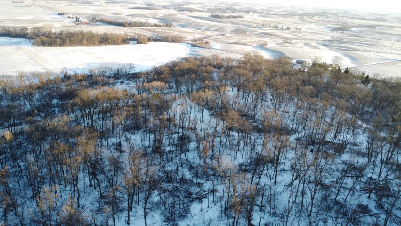 9.85 Acres Airport, STOCKTON, Illinois 61085, ,Land,For Sale,Airport,202600447