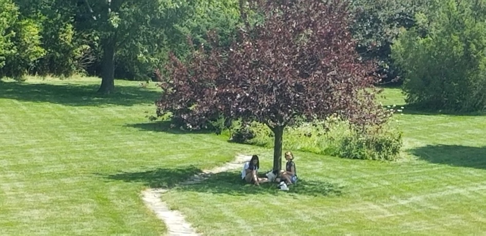 11353 Wentworth, BELVIDERE, Illinois 61008, 5 Bedrooms Bedrooms, ,3 BathroomsBathrooms,House,For Sale,Wentworth,202600456