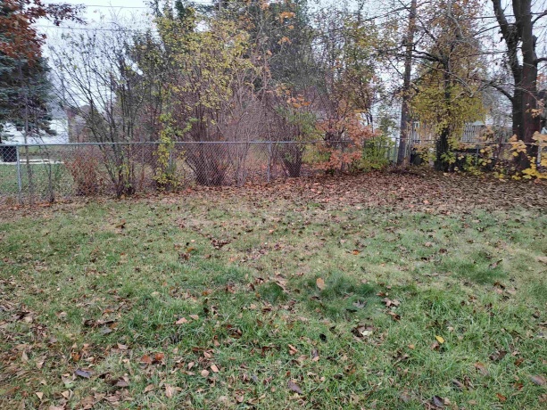 2615 Brendenwood, ROCKFORD, Illinois 61107, 3 Bedrooms Bedrooms, ,1 BathroomBathrooms,House,For Sale,Brendenwood,202507457