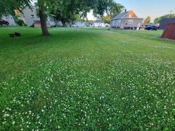 0 LaHarpe, LaSalle, Illinois 61301, ,Land,For Sale,LaHarpe,202600464