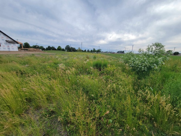 16 Pointe, Peru, Illinois 61354, ,Land,For Sale,Pointe,202600465