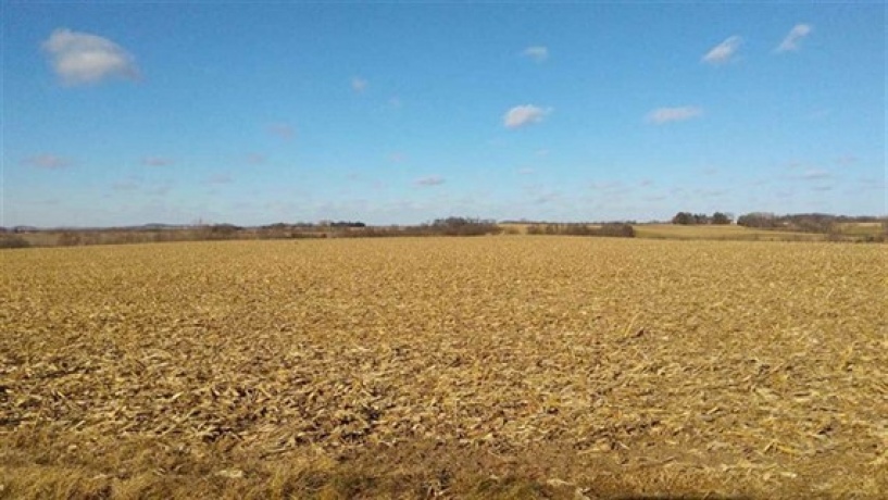 Amboy, Illinois, ,Hunting,For Sale,20210167