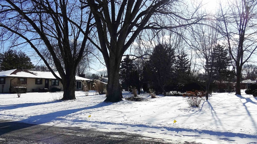 5398 Crestdale, ROCKFORD, Illinois 61114, ,Land,For Sale,Crestdale,202600467