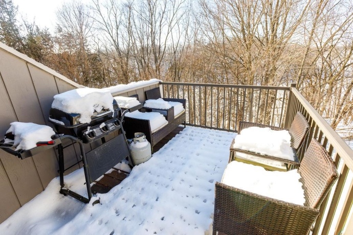 131 Plum Cove, GALENA, Illinois 61036, 3 Bedrooms Bedrooms, ,3 BathroomsBathrooms,Condominium,For Sale,Plum Cove,202600473