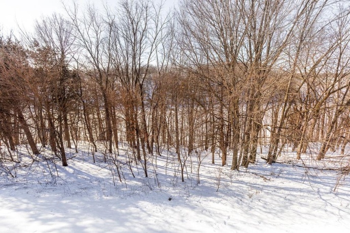 131 Plum Cove, GALENA, Illinois 61036, 3 Bedrooms Bedrooms, ,3 BathroomsBathrooms,Condominium,For Sale,Plum Cove,202600473