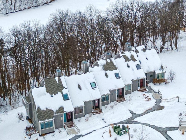 131 Plum Cove, GALENA, Illinois 61036, 3 Bedrooms Bedrooms, ,3 BathroomsBathrooms,Condominium,For Sale,Plum Cove,202600473