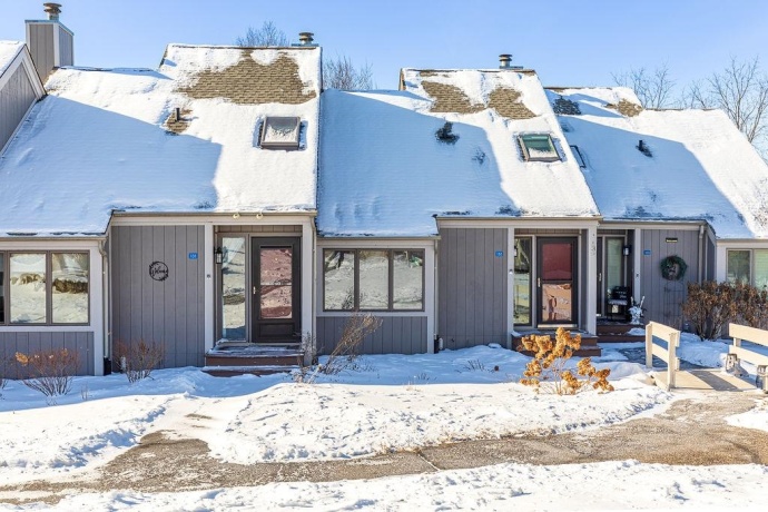 131 Plum Cove, GALENA, Illinois 61036, 3 Bedrooms Bedrooms, ,3 BathroomsBathrooms,Condominium,For Sale,Plum Cove,202600473